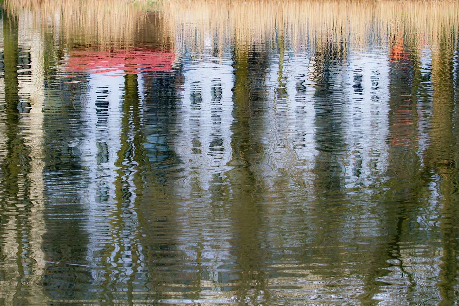 00002_KINDERBOERDERIJ_3APR_2018_1469AO1RncuKL1N-50_15