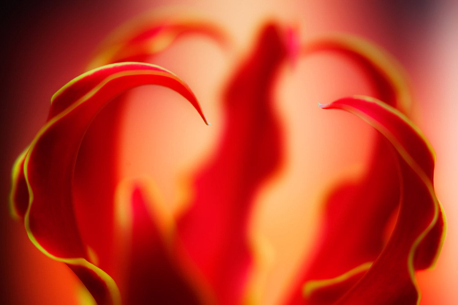 00005_MACRO_2_28APR_2013_0855AO1RncuzN0_15