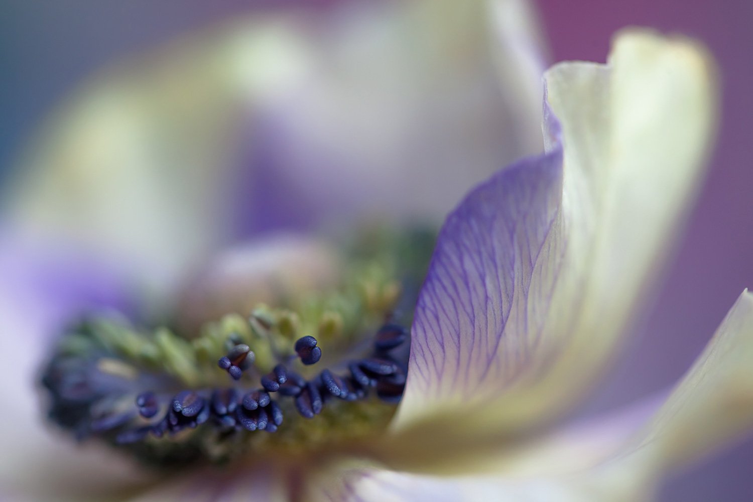 00011_IN1_MACRO_1_21FEBR_2015_4352RCCz-10_15