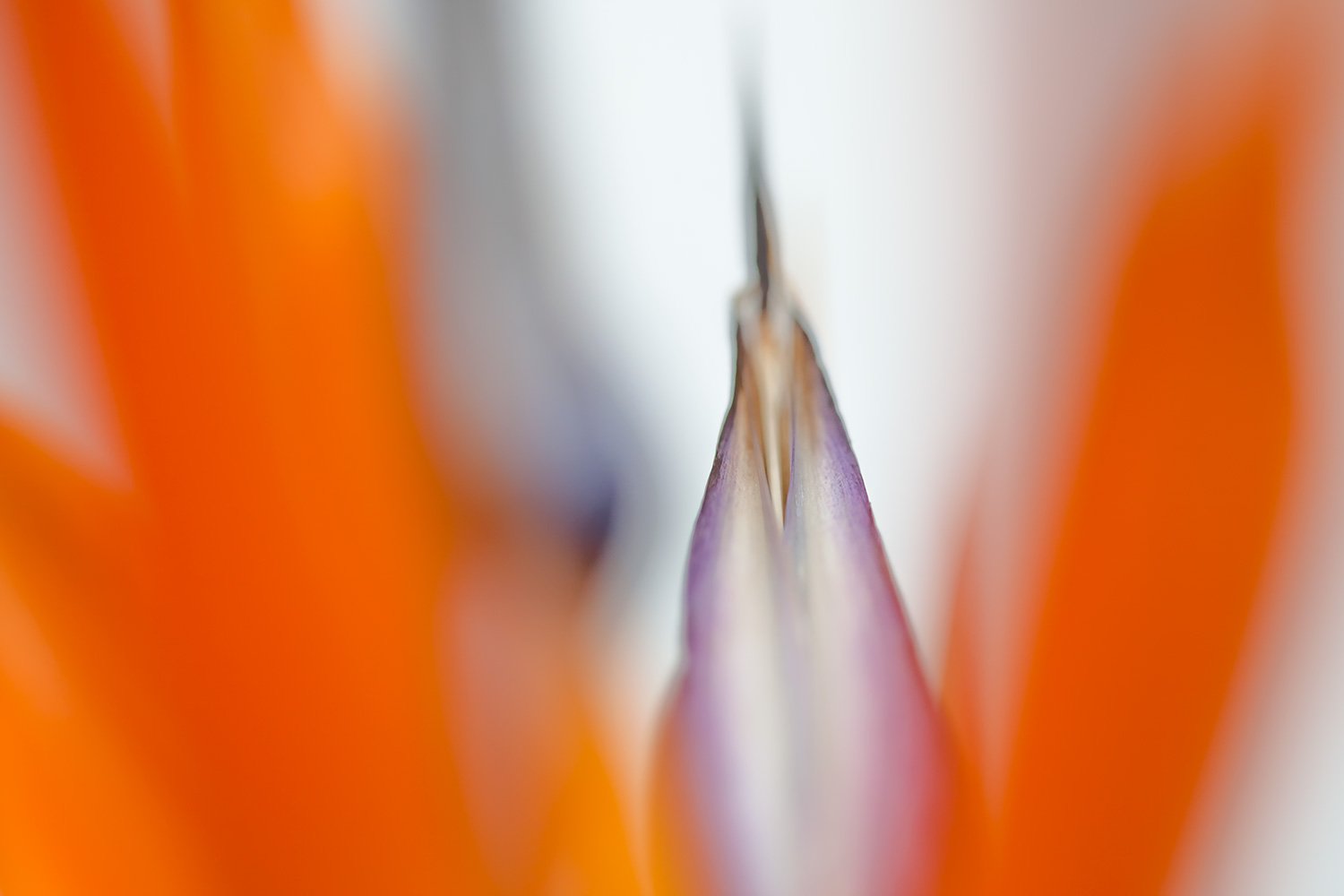 00013_MACRO_1_18FEBR_2014_9318RCCz-10_15