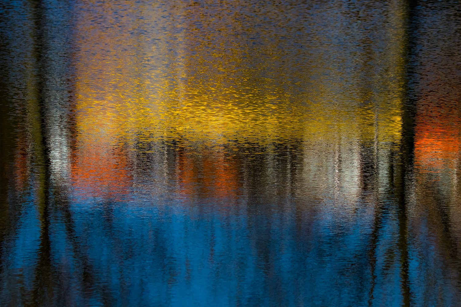 00015_IN1_KINDERBOERDERIJ_1_08NOV_2014_2264RCCz-40_15