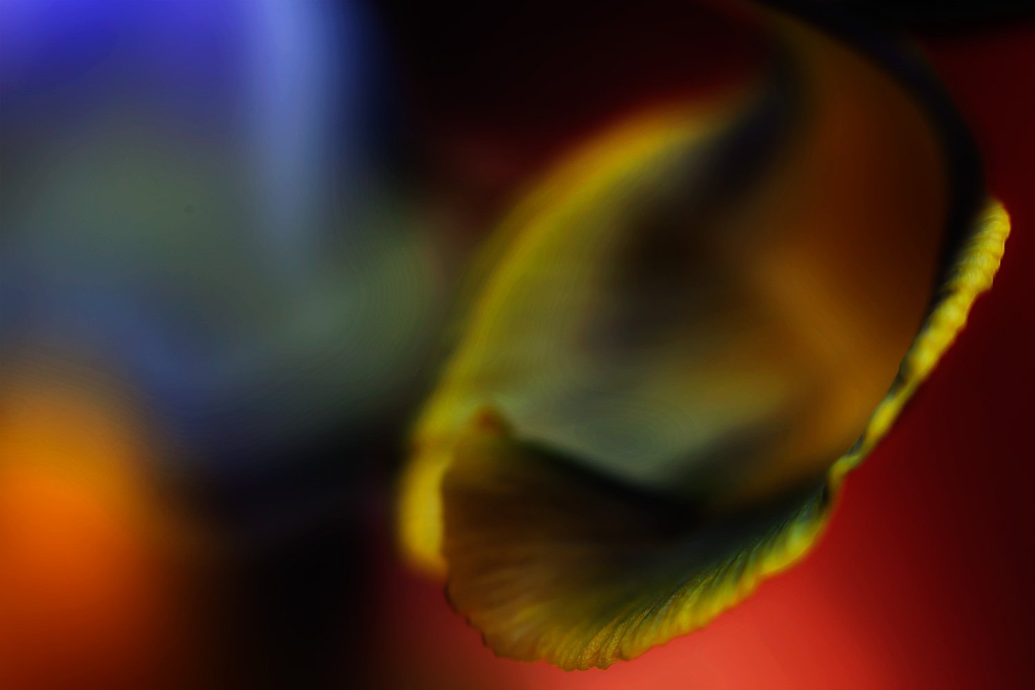 00023_MACRO_2_23MAART_2013_0137AO1RncuN-40_15