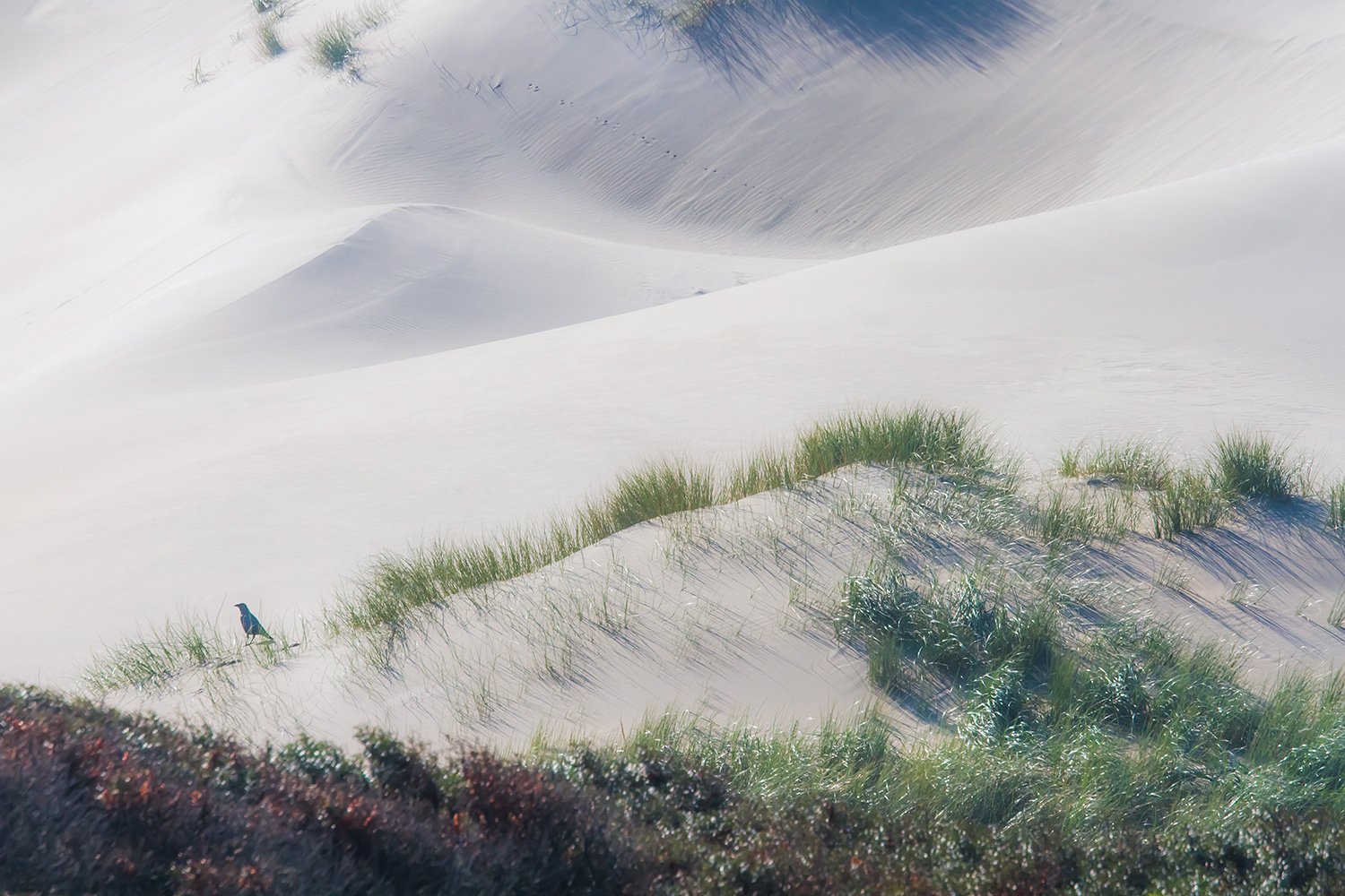 00025_M9_VERZHAAM_2011_HAAMS_2_2809_2011_5208RCCz-40_15