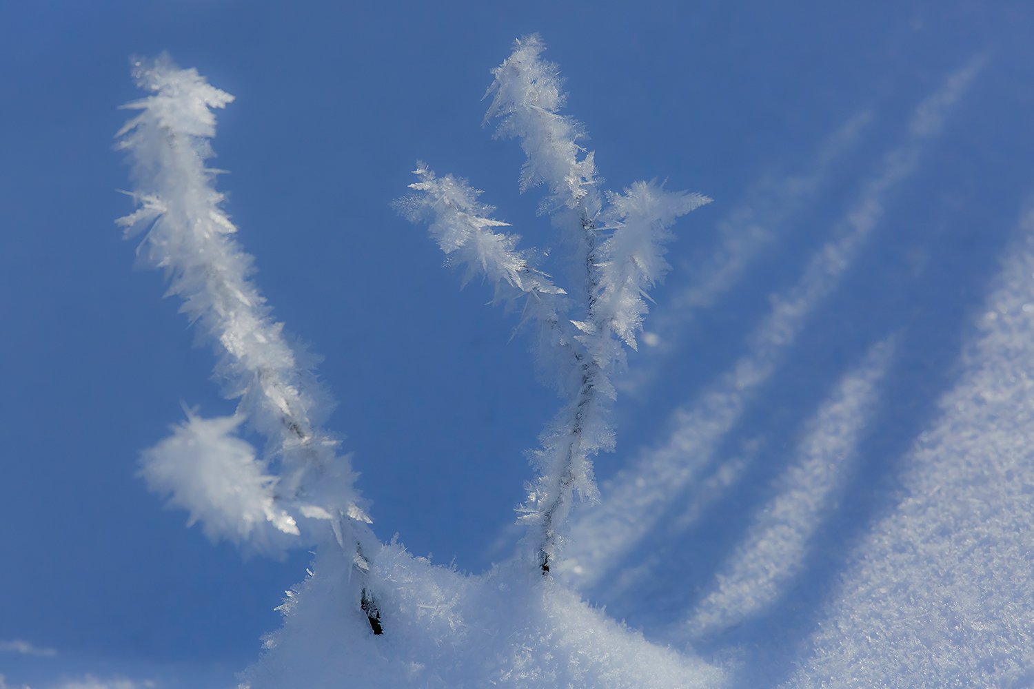 00025_III_UNTERTAL_1_30DEC_2016_0031RCCz-40_15