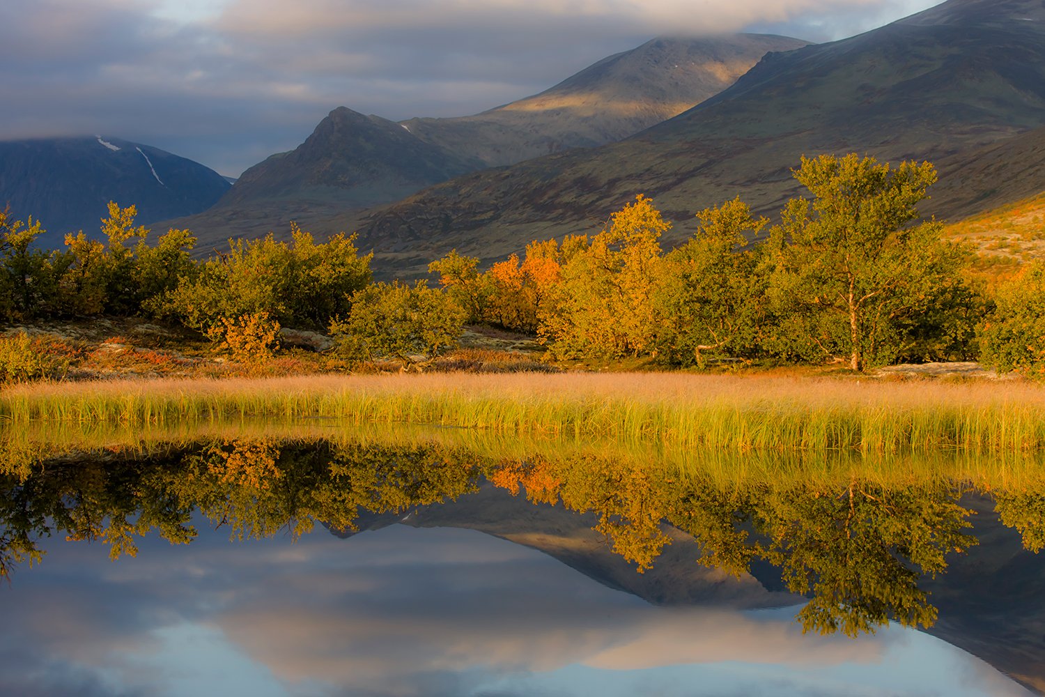 00029_M4_N08_167_168_169_DORESETER_5704RCCz-40_15