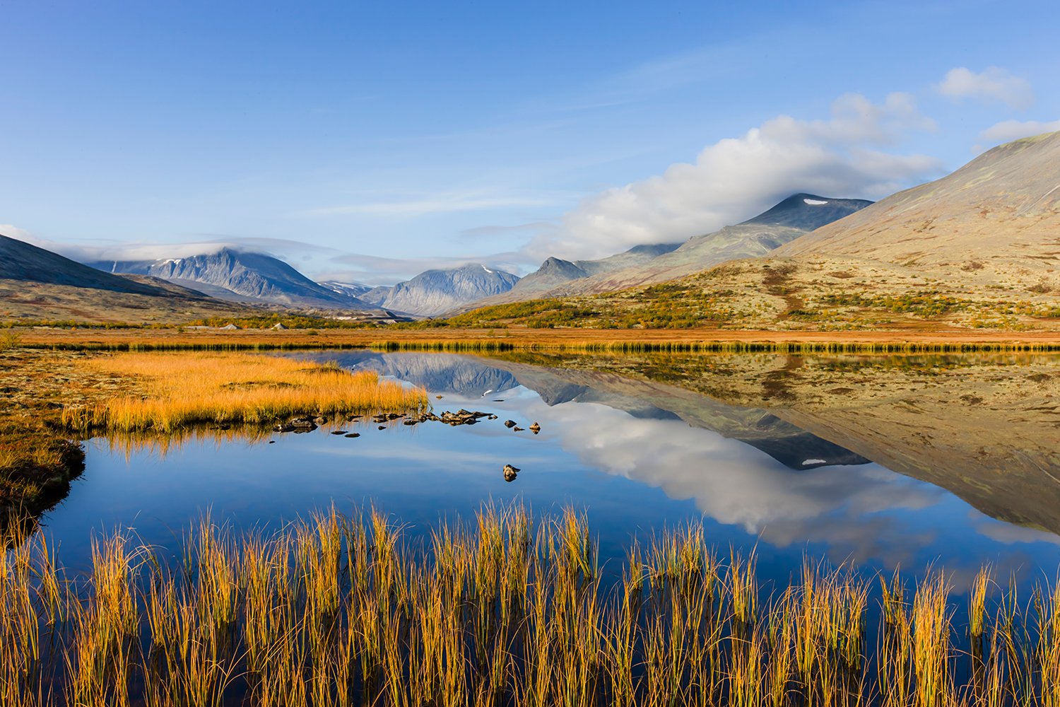 00045_M4_N08_167_168_169_DORESETER_5864RCCz-40_15