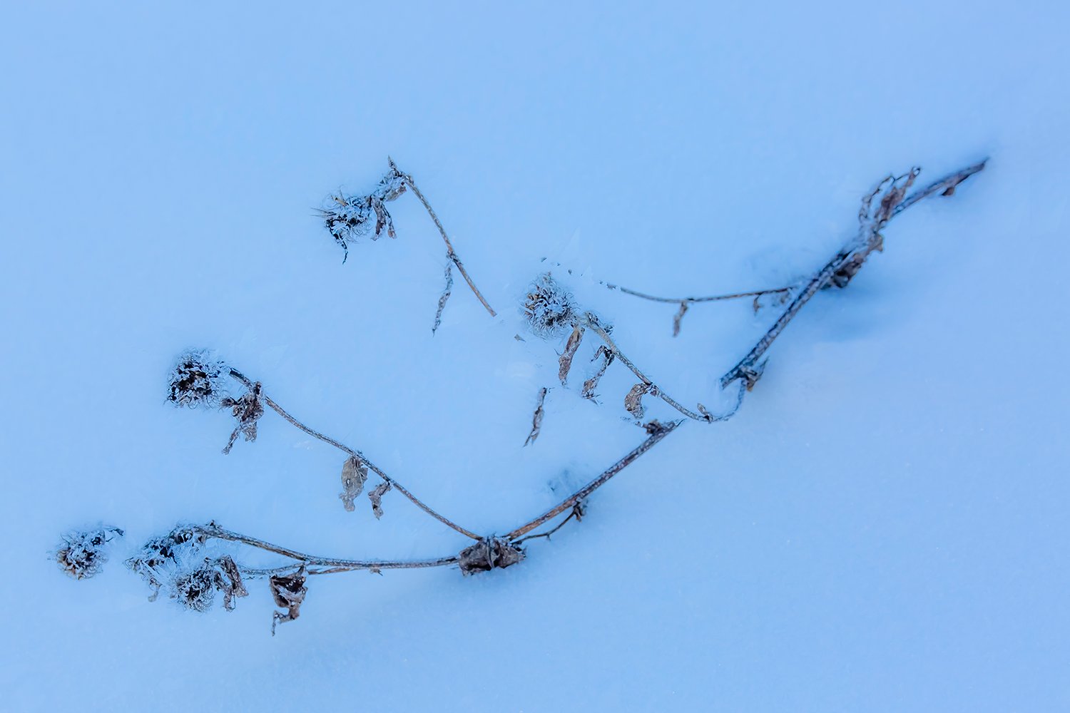 00127_III_UNTERTAL_1_30DEC_2016_0302RCCz-40_15