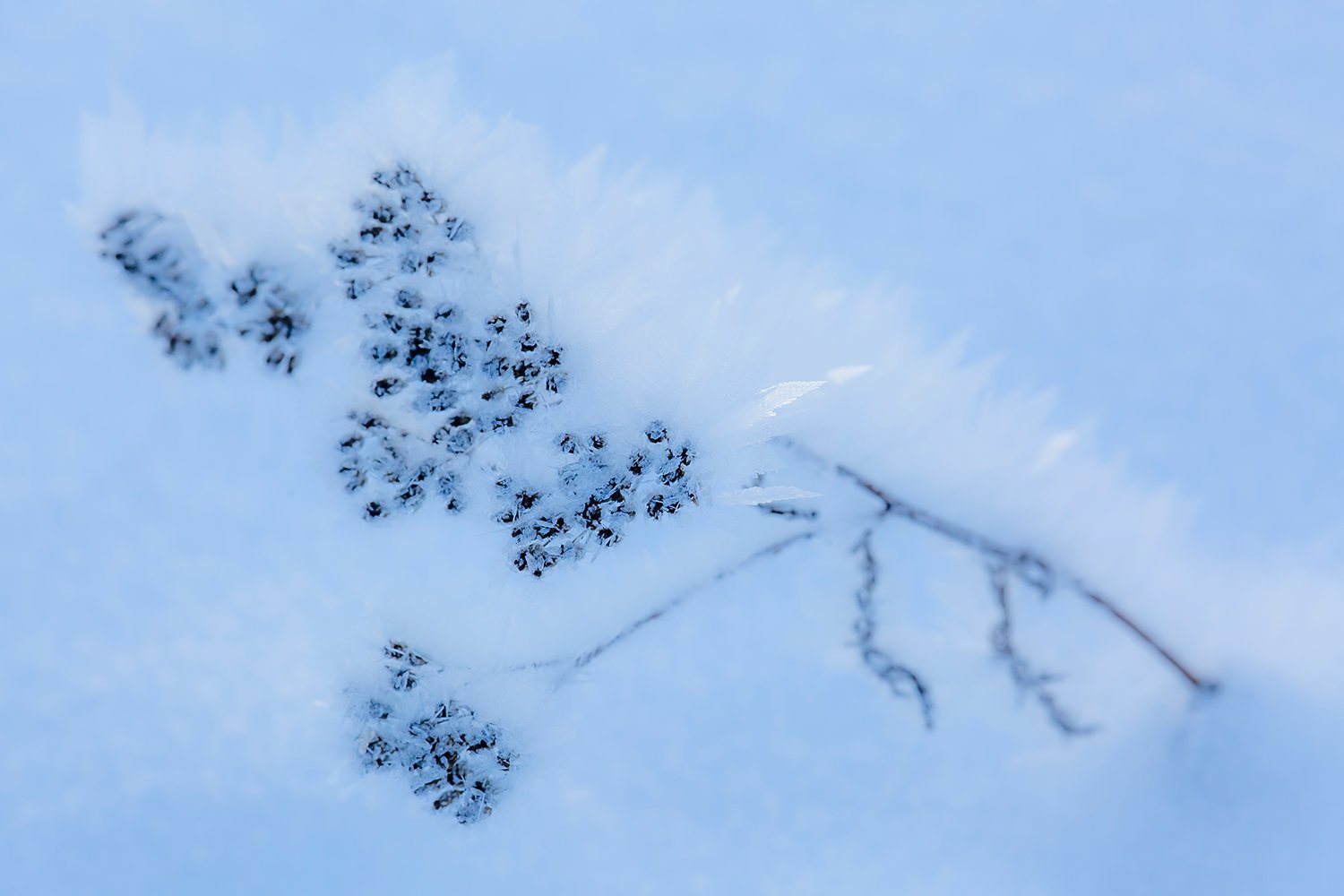 00172_III_UNTERTAL_2_30DEC_2016_9893RCCz-40_15