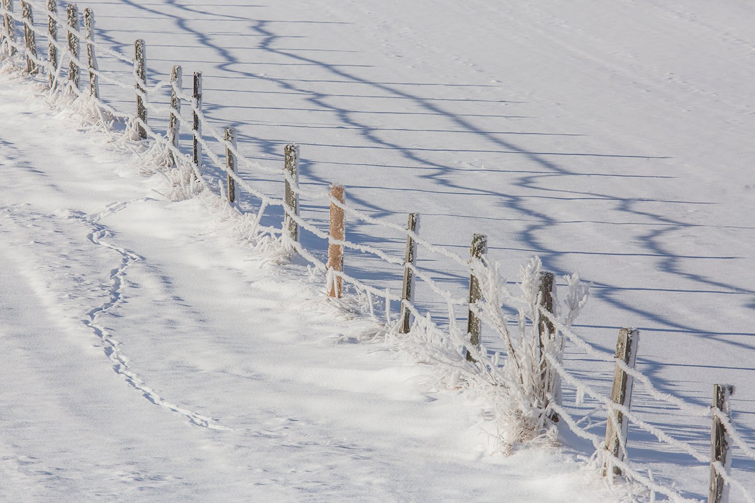 00195_III_UNTERTAL_2_30DEC_2016_9788RCCz-40_15