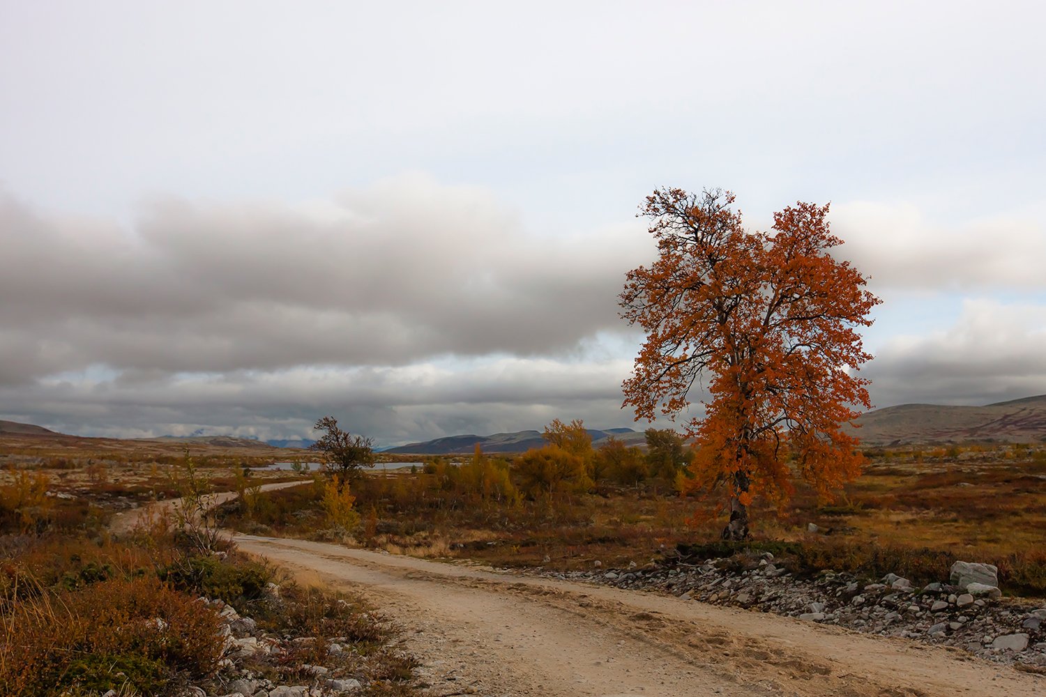 EINDTEKST_6850RCCz-40_15